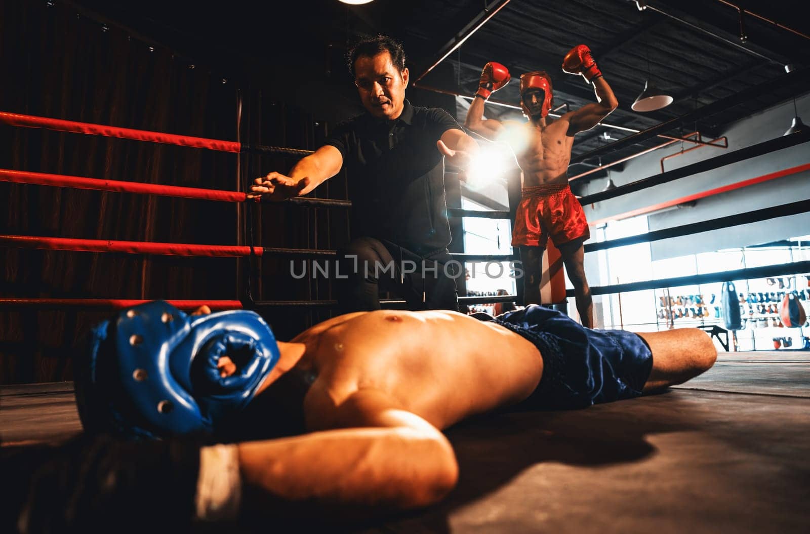 Boxing referee intervene, halting the fight to check fallen competitor after knock out. Referee pauses the action for boxer fighter's safety after KO with winner posing in background. Impetus