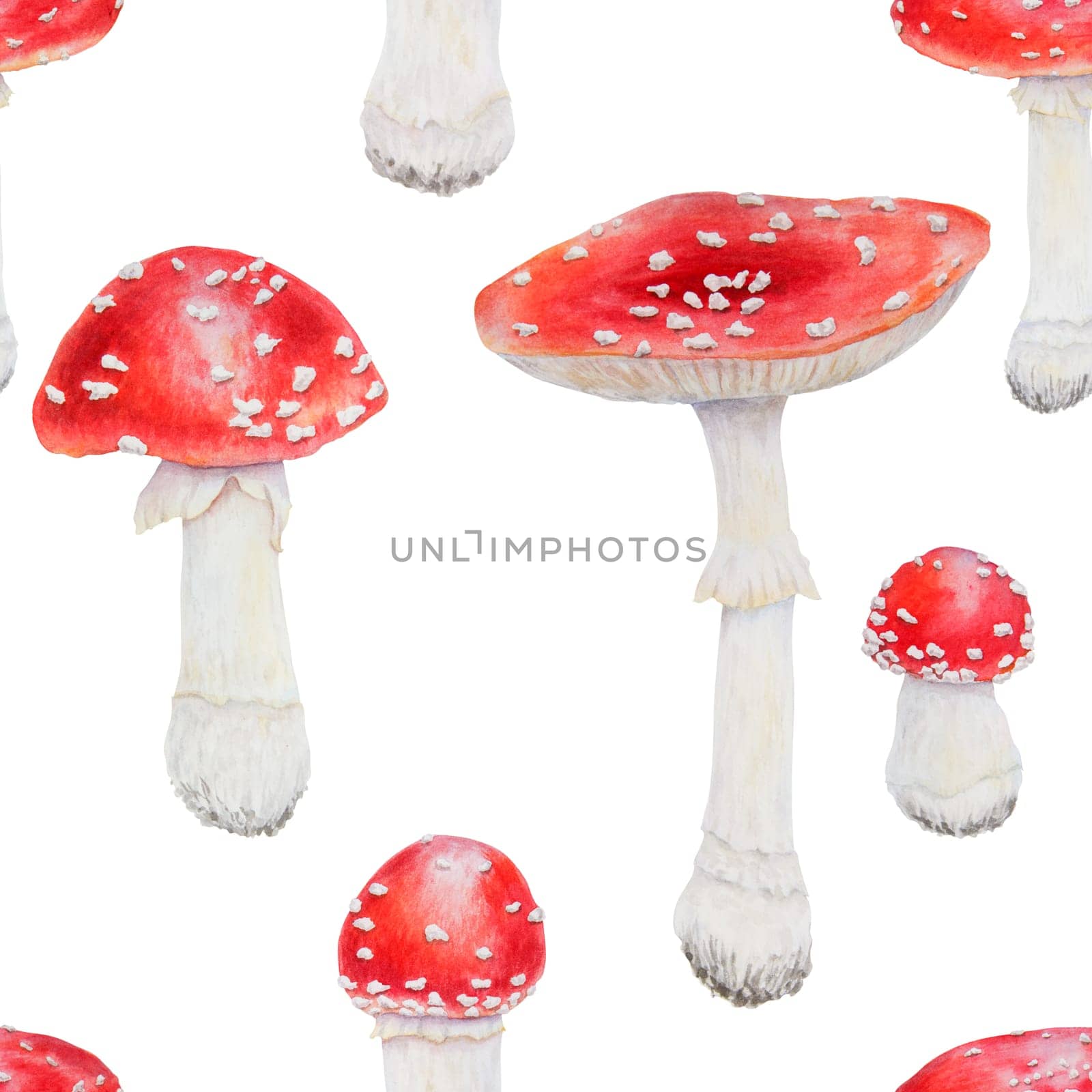 Watercolor seamless hand drawn pattern of fly agaric mushrooms. Hand drawn botanical realistic illustration for eco goods, textiles, natural herbal medicine, healthy tea, cosmetics, homeopatic remedie by florainlove_art