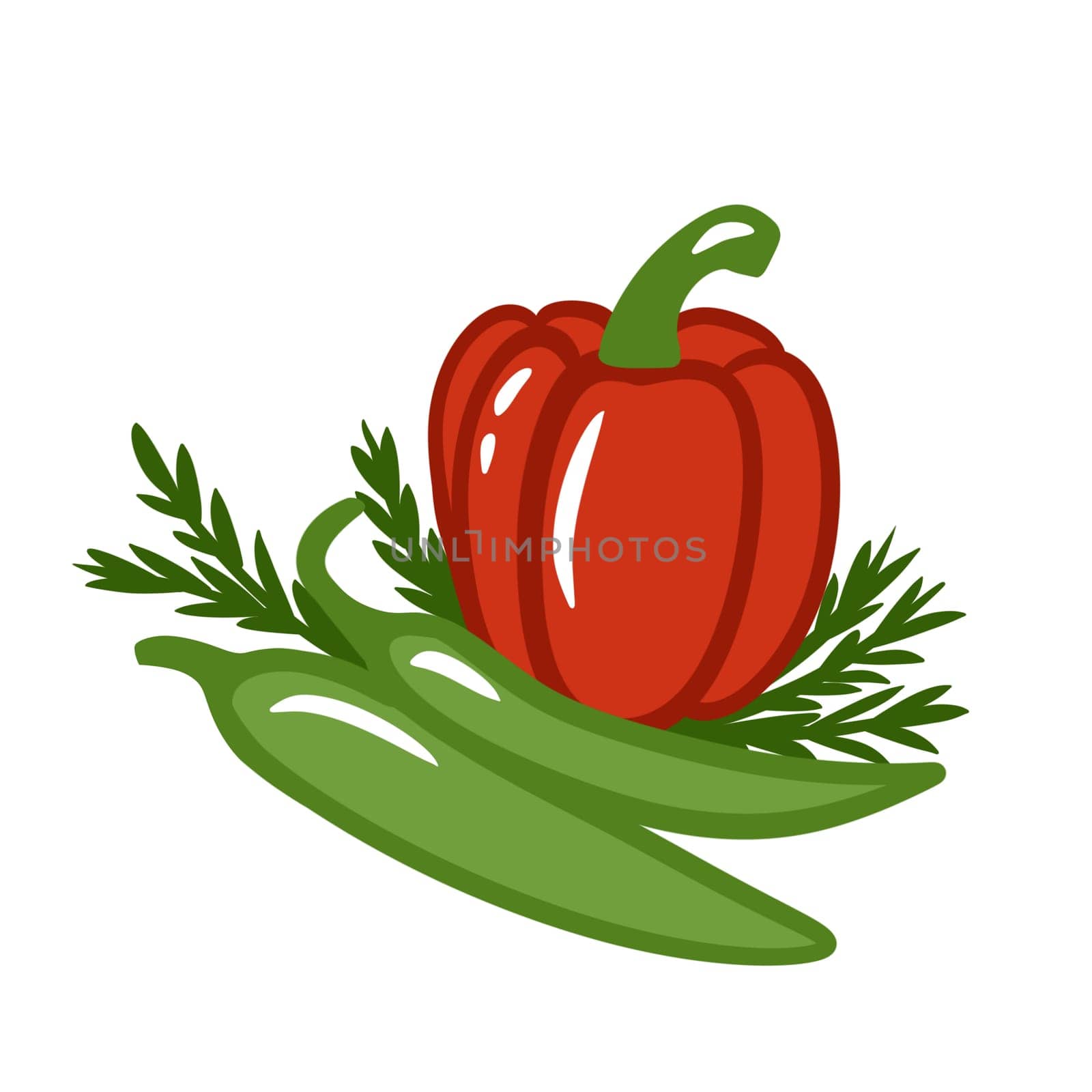 hand drawn illustration of red green bell pepper paprika herbs dill. Harvest farm vegetables, organic food ingredient vegan vegetarian diet. Ripe tasty juicy fresh agriculture produce for labels cafe
