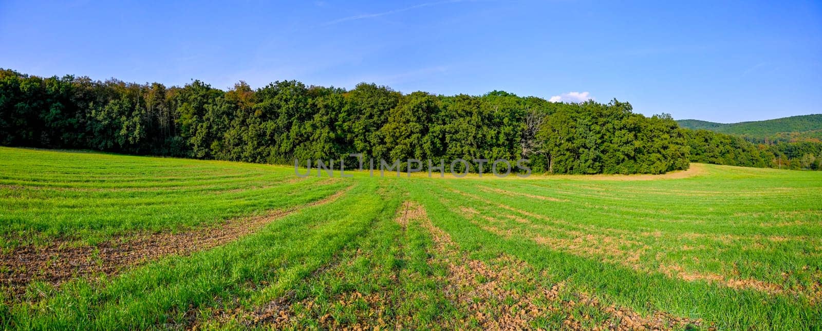 HDR panorama of landscape. czech republic - europe. Beautiful image of nature. Meadow and field with forest. Concept for environment, agriculture and ecology. 