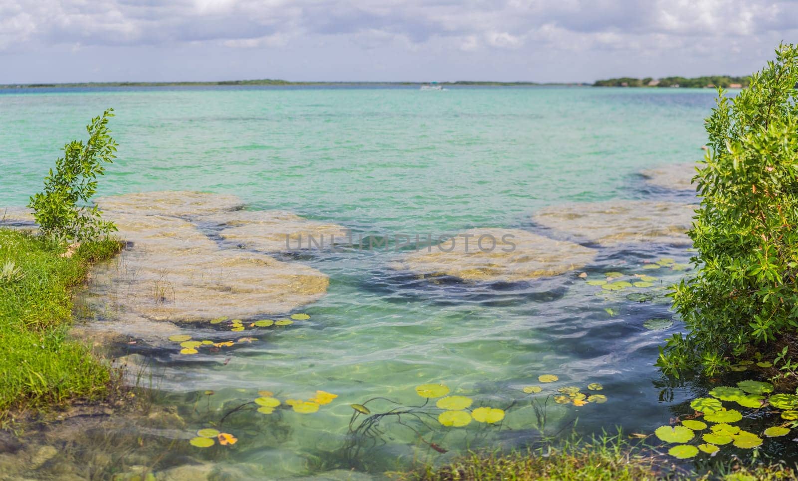 Stromatolites in the crystal-clear waters of Bacalar Lake, Mexico. Ancient natural formations in a stunning tropical setting. Nature, geology, and travel concept.