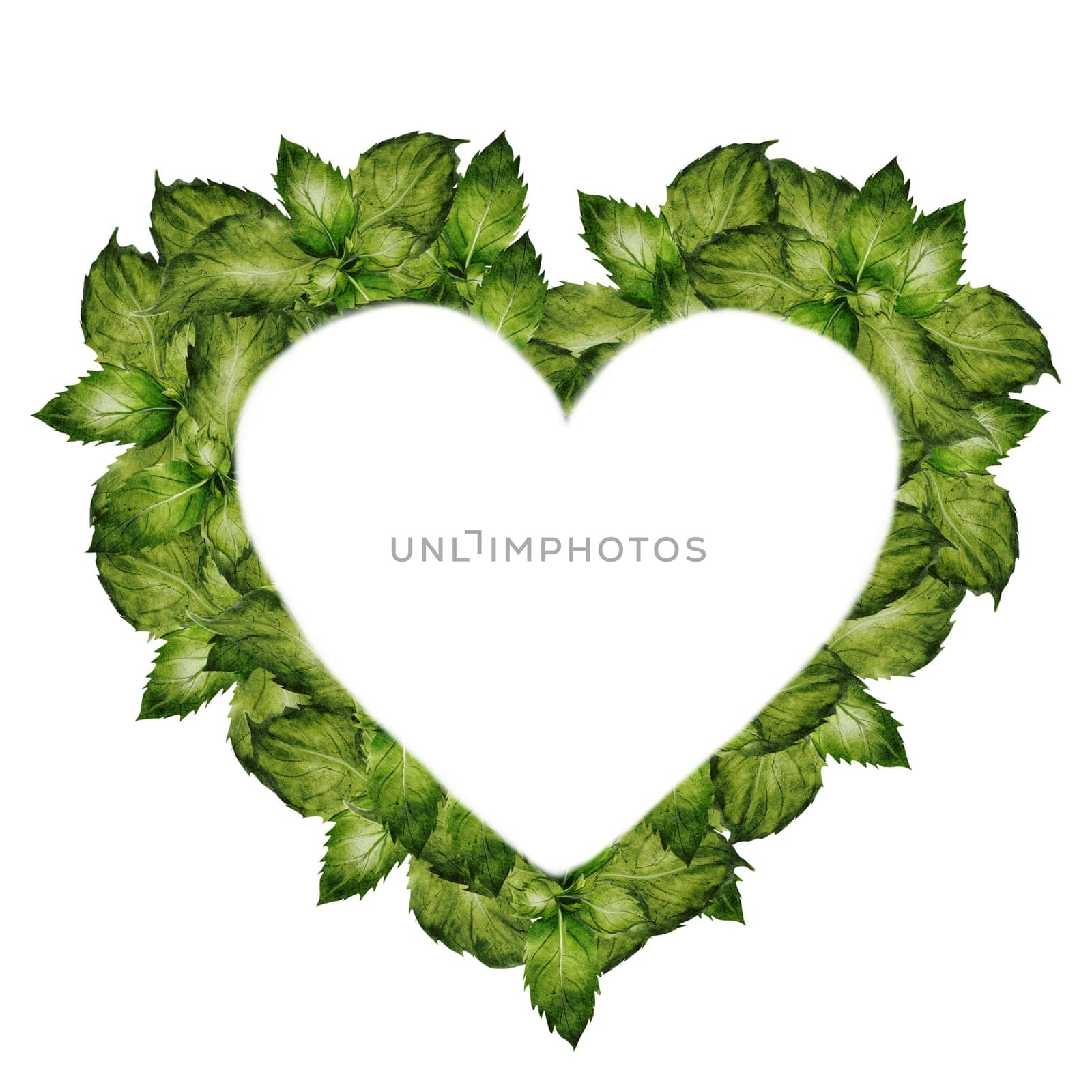 Heart of green leaves frame watercolor. Herbal heart. Hand drawn shape with mint leaves on isolated white background. Ideal for herbal tea and other drinks logo and natural cosmetics. High quality illustration