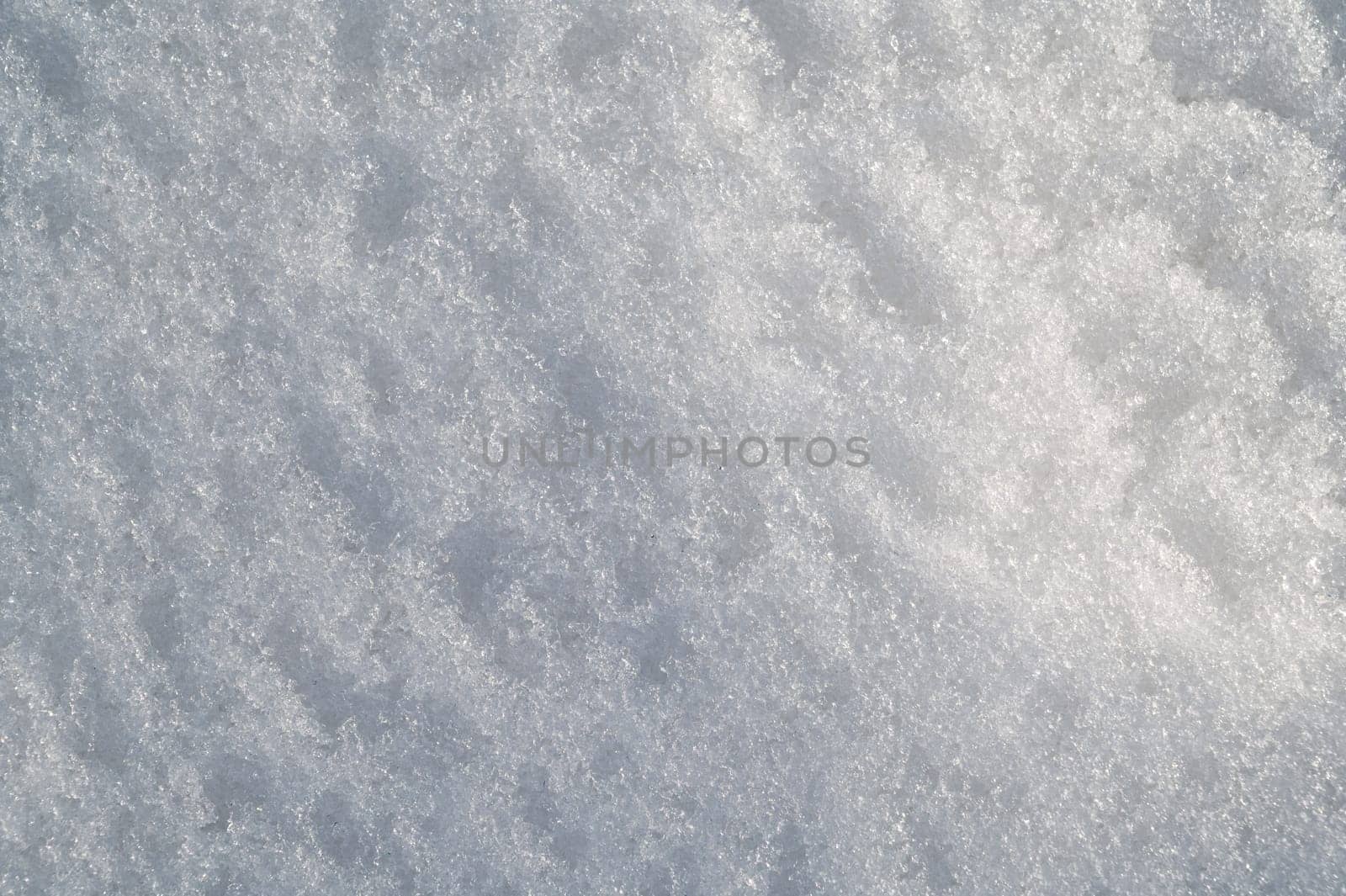 white texture of snow on a snowdrift on a cold winter day
