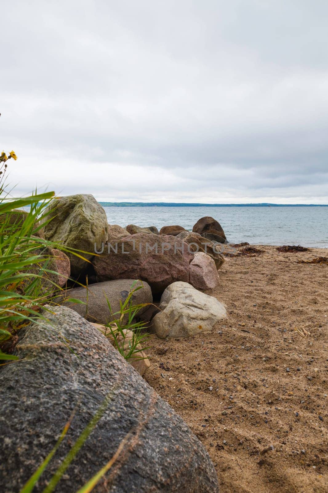 beach with rocks in denmark with lot of green plants and trees trelde naes at the kattegat water vertical portrait format