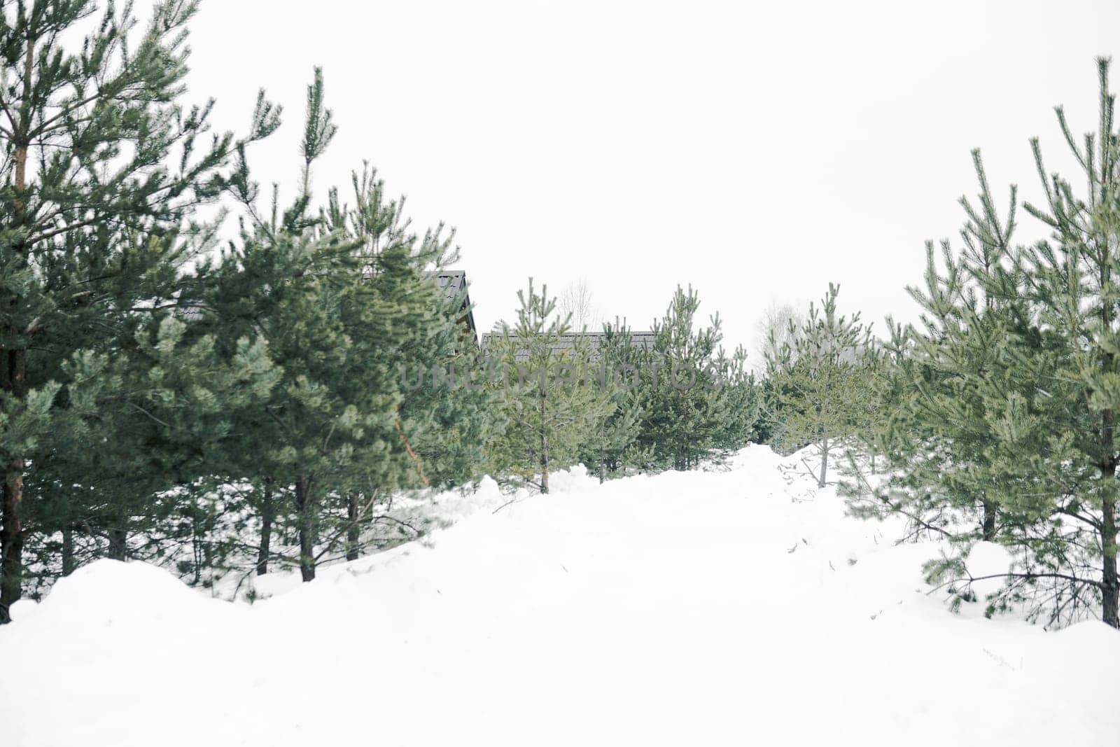 A country house in nature in winter. Rest in an ecologically clean place in winter. Glamping in nature