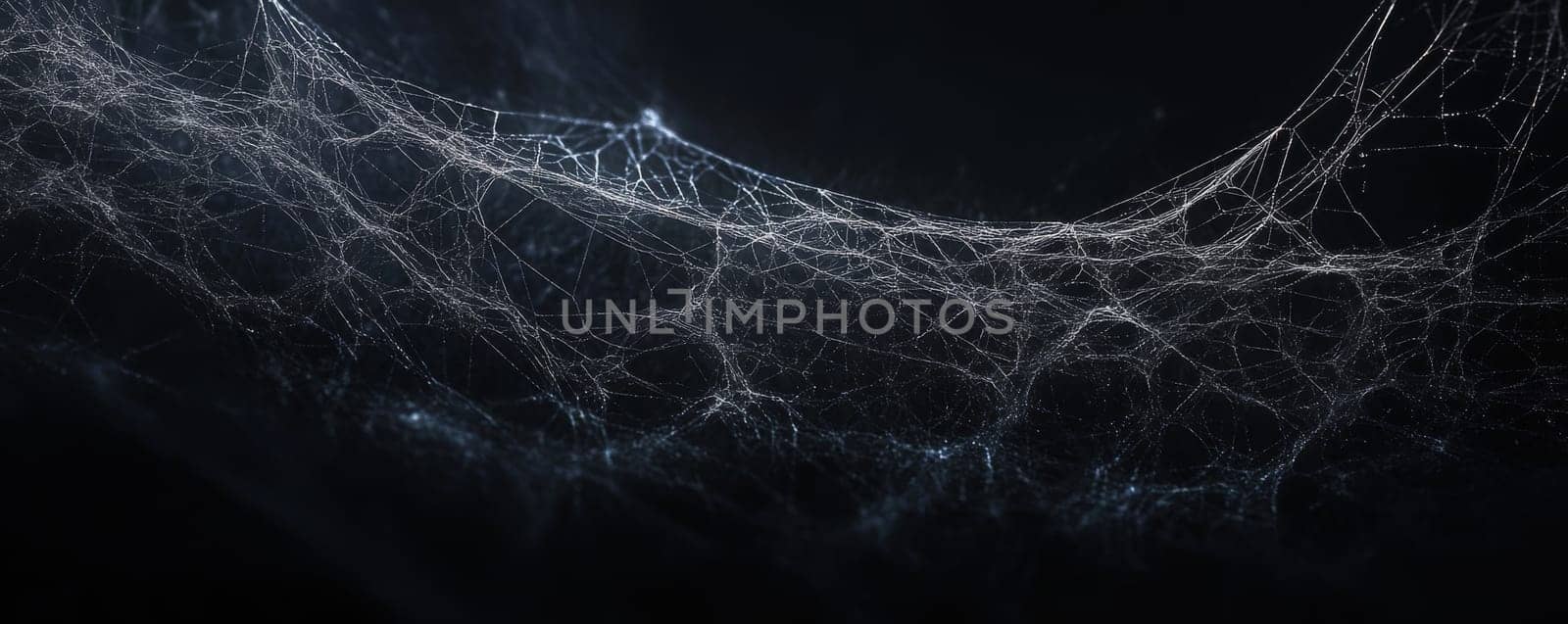 Close-up of intricate spider web on a dark background, mystery and nature concept.