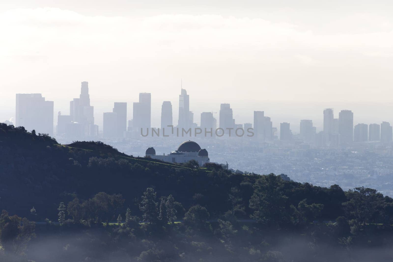 Griffith Observatory: A Celestial Oasis in Los Angeles by OliveiraTP