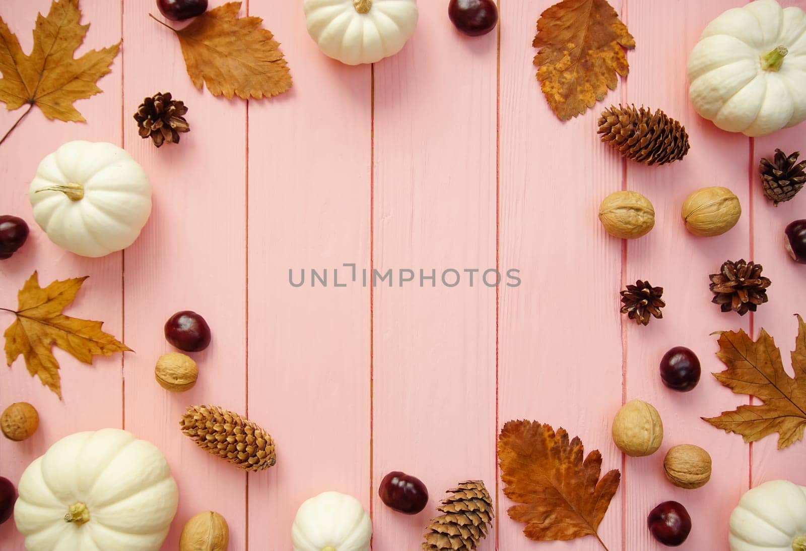 Elements of autumn decor are laid out on a pink background - white decorative pumpkins, yellow leaves, walnuts and chestnuts