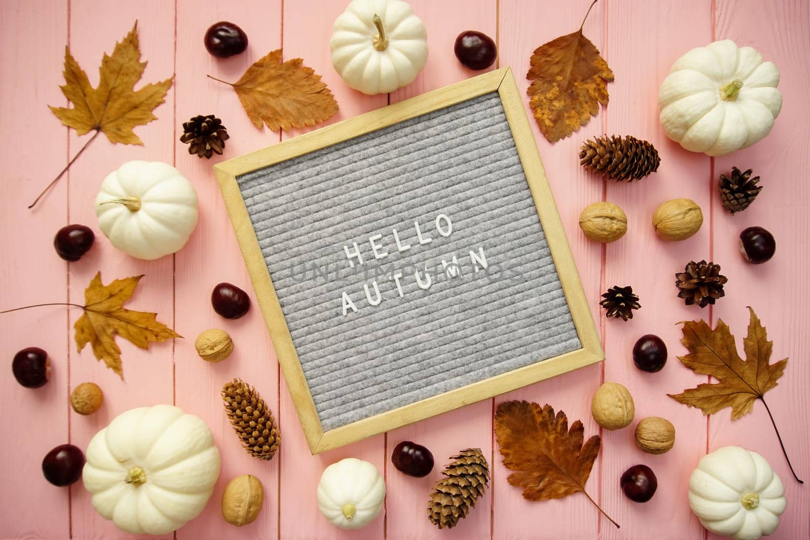 In the frame the inscription Hello autumn and autumn decor elements by Spirina