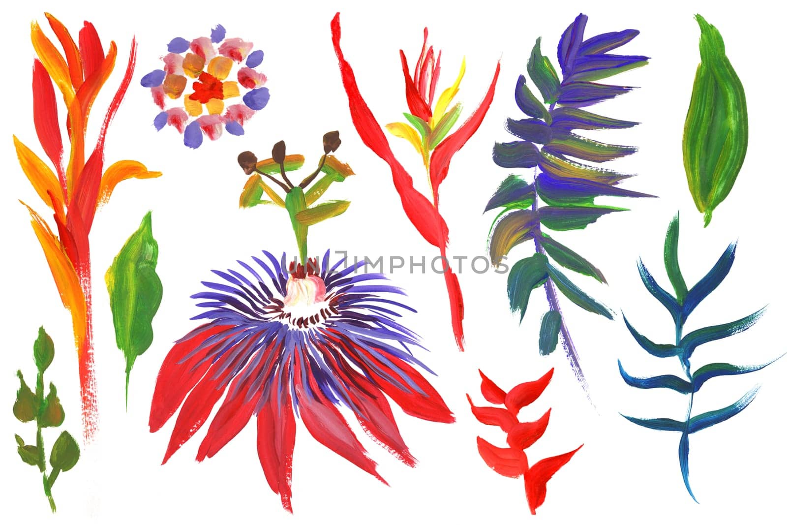 Set of tropical flowers branches and leaves painted with bright colors for textile
