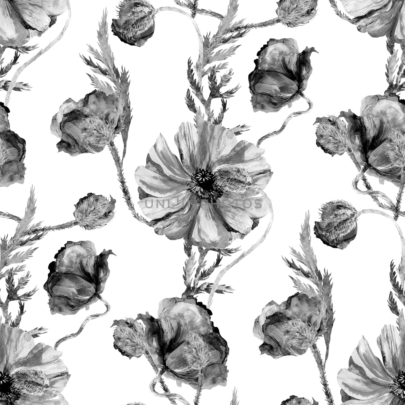 seamless black and white botanical patter with graceful poppies on a white background for summer fashion textiles and surface design. Monochrome motif painted in watercolor