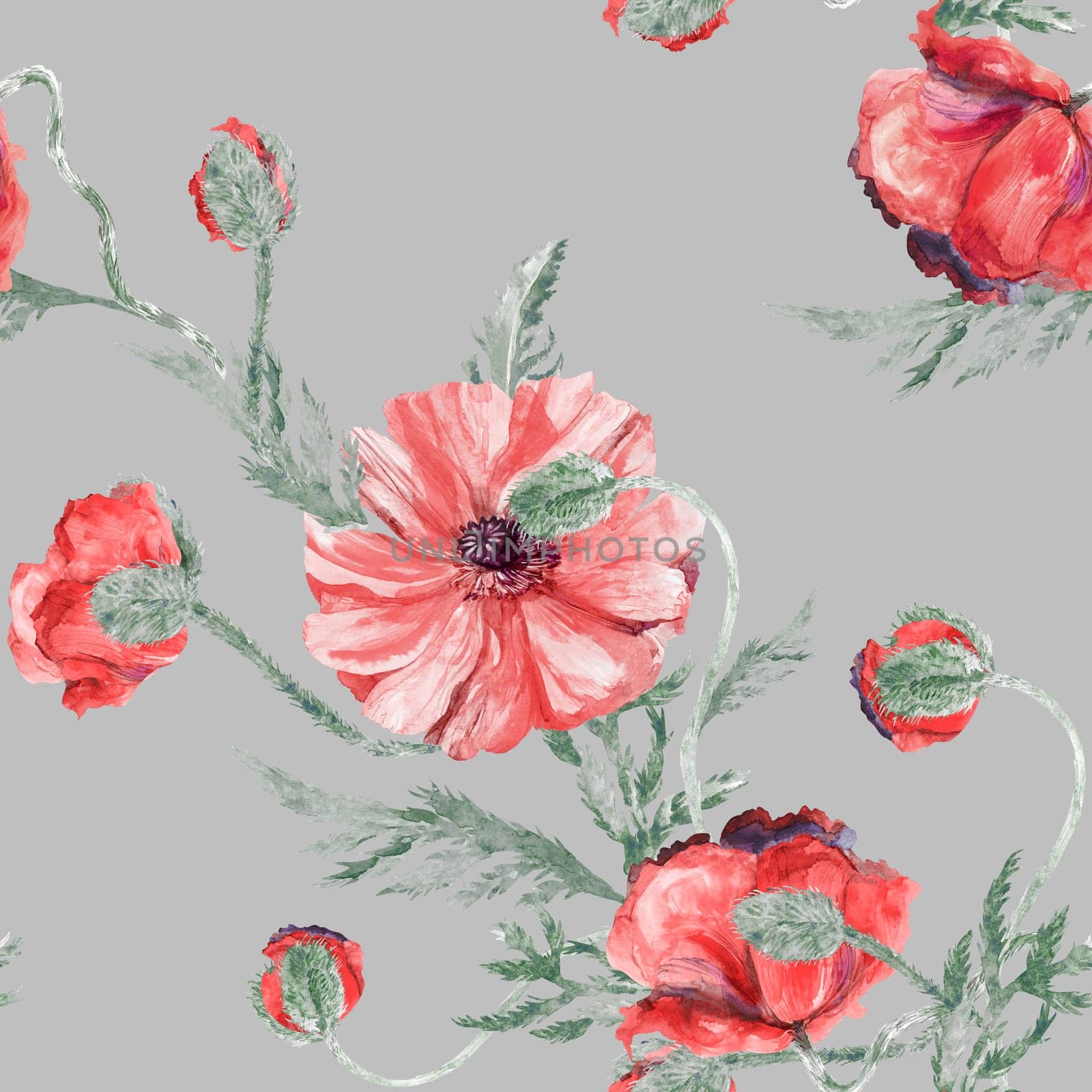 Seamless botanical watercolor pattern with poppies on a white background. Vintage summer print for textile and surface design