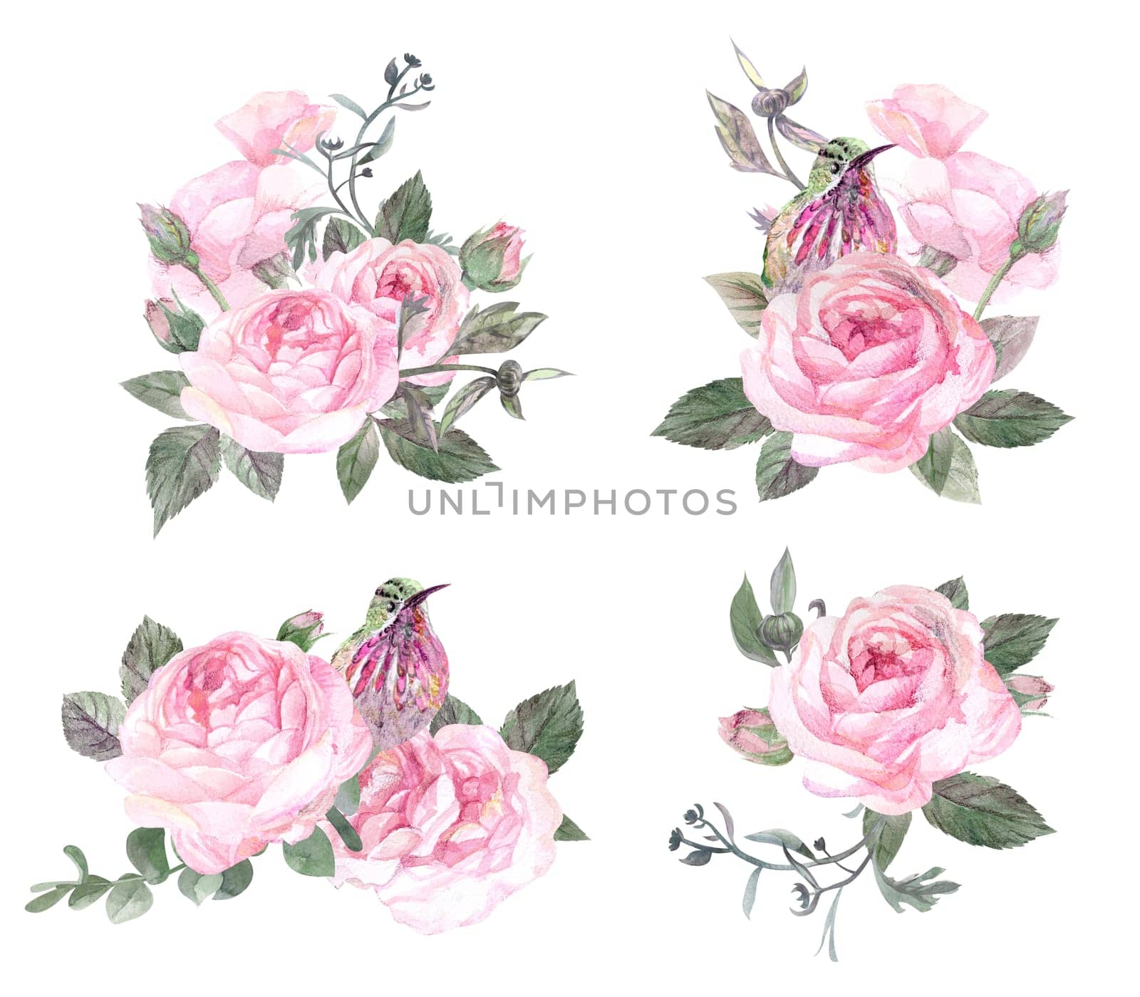 Set of vintage watercolor rose bouquets with hummingbird bird isolated on white background by MarinaVoyush