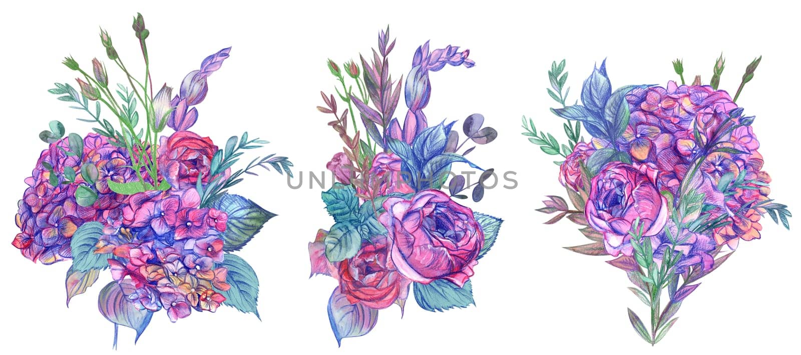 Set of watercolor bouquets with flowers of hydrangea and pink roses and herbs painted in watercolor isolated on a white background in vintage style