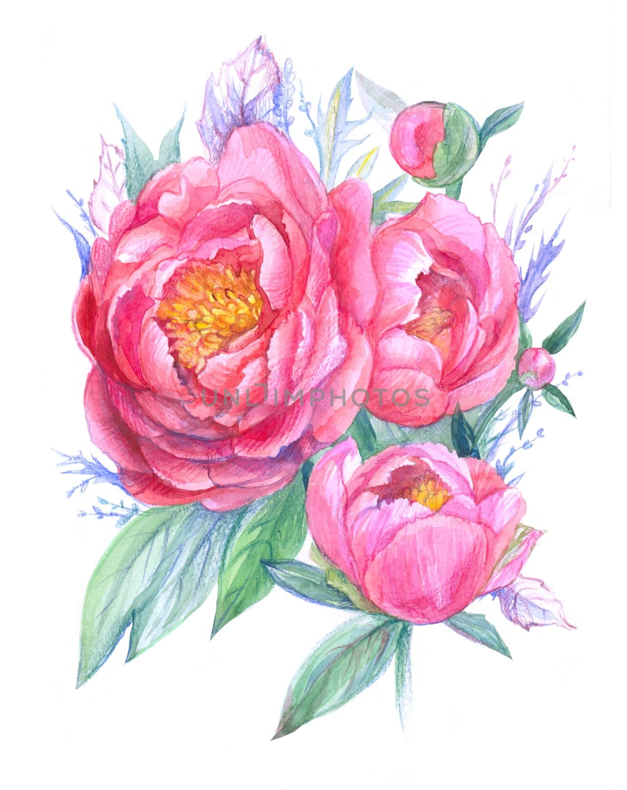 watercolor painting with bouquet of bright pink peonies by MarinaVoyush