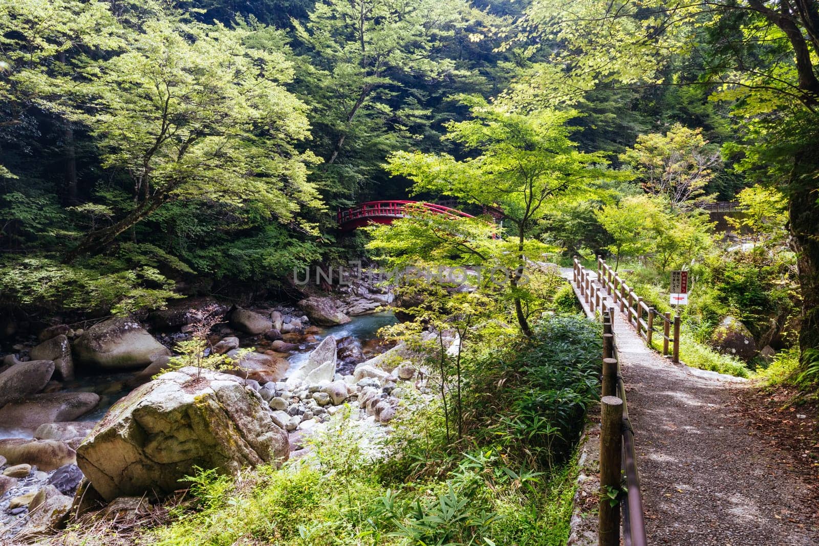 The magnificent Ryujin Falls and iconic red bridge at the start of autumn in Nakatsugawa City, near Sakashita in Japan