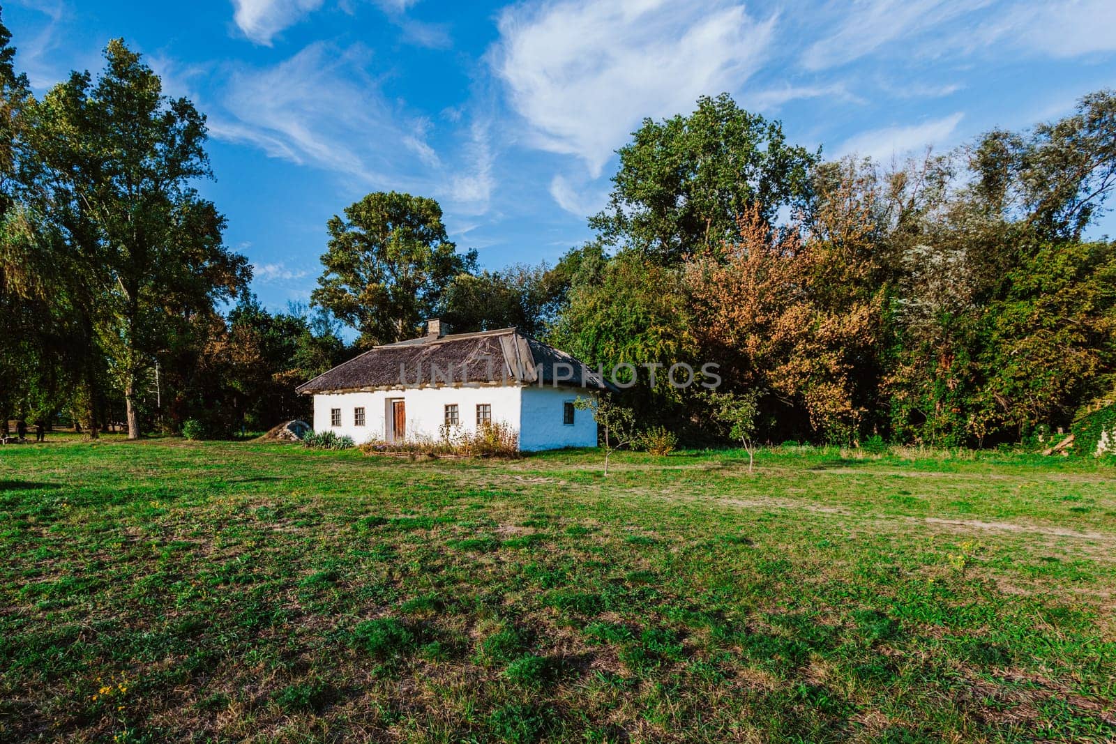 Traditional rural house with a thatched roof is nestled in a peaceful countryside surrounded by trees and greenery.