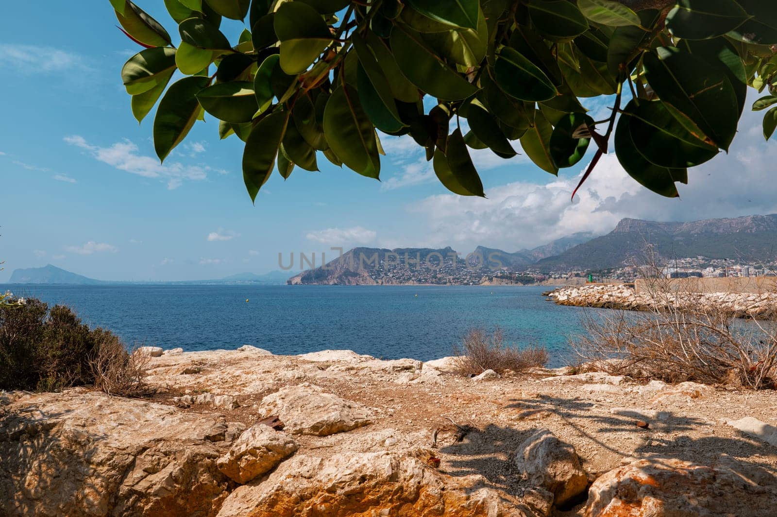 Scenic coastal view showcasing a tranquil blue sea, rocky shoreline, and lush green leaves providing shade, with distant mountains under a clear sky.