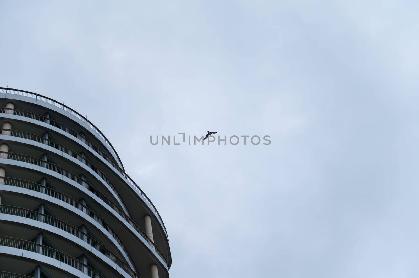 A modern curved building against a cloudy sky with a solitary bird soaring above, illustrating urban life and freedom.