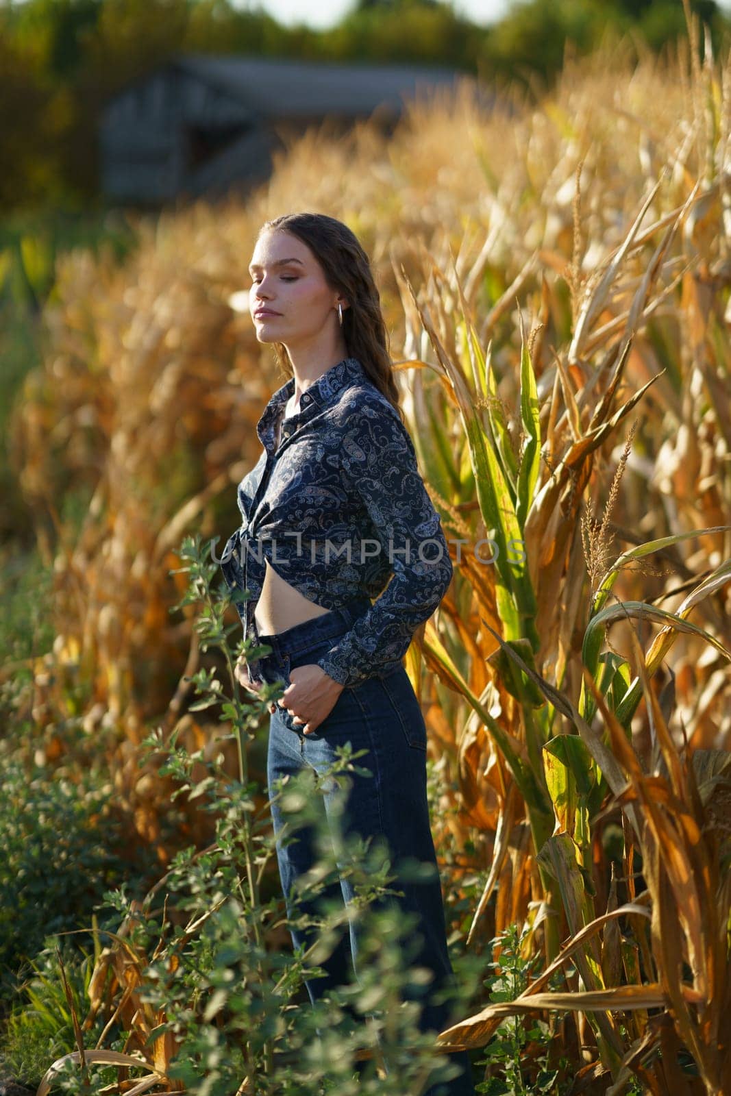 In a serene rural cornfield, a young woman stands gracefully, exuding tranquility in her stylish outfit, which harmonizes perfectly with the sunkissed golden hues of the harvest that envelops her