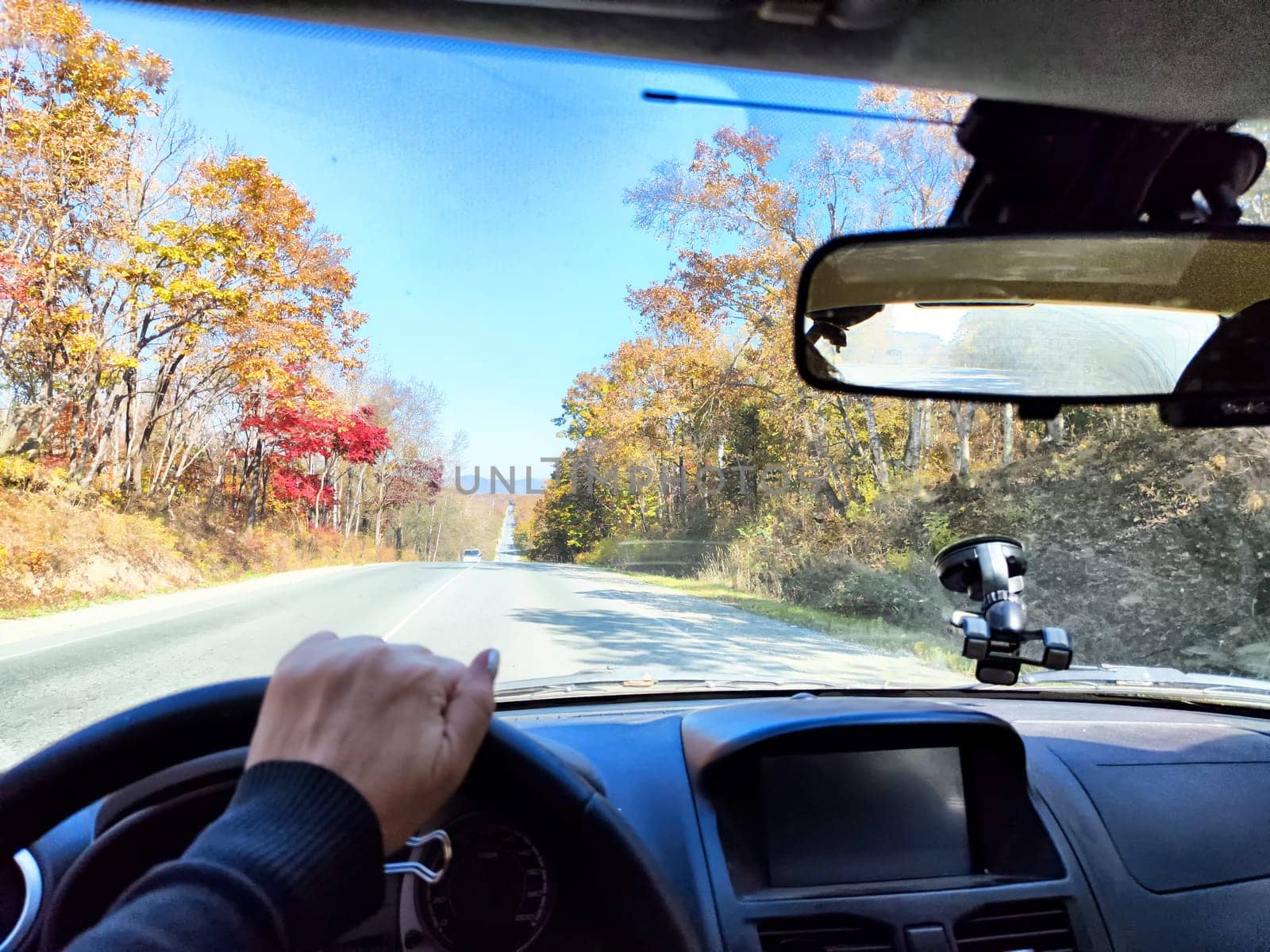 Car salon, windshield, hand of woman on steering wheel and landscape. View from seat of driver on nature at sunny day. Single trip of female traveler