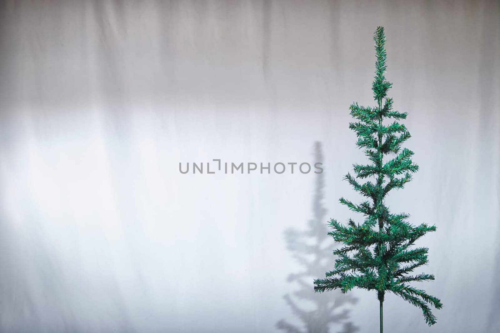 A Christmas tree stands on a table, casting a shadow against a plain backdrop in a cozy indoor setting