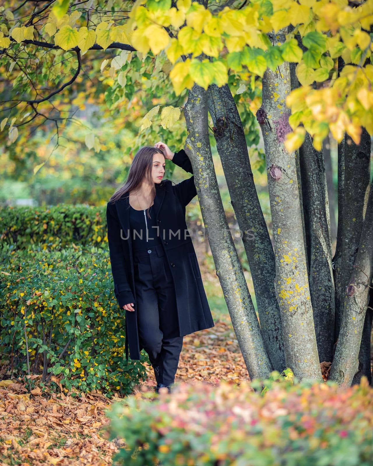 A beautiful girl stands by a tree in an autumn park. by Yurich32
