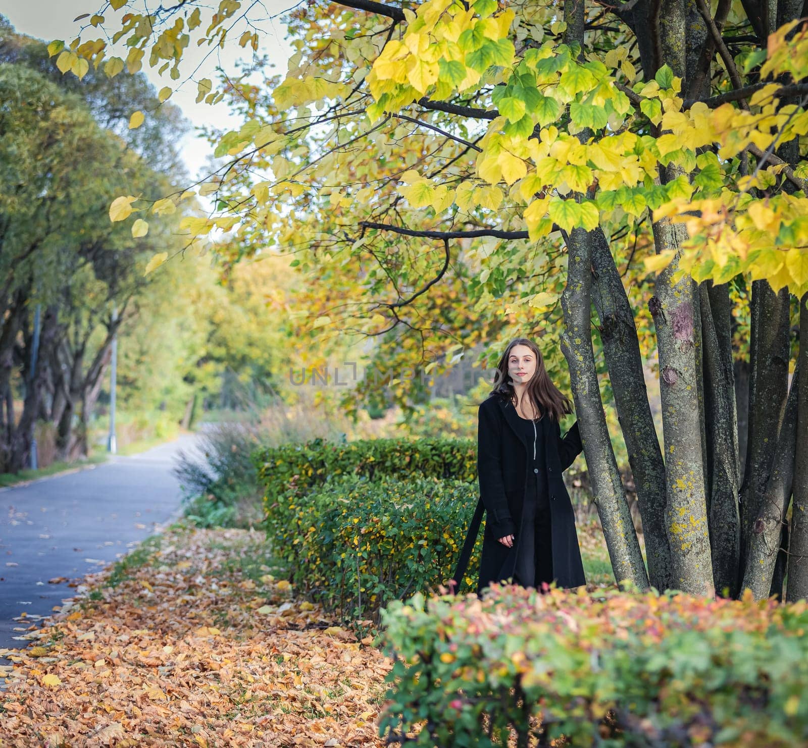 A beautiful girl stands by a tree in an autumn park