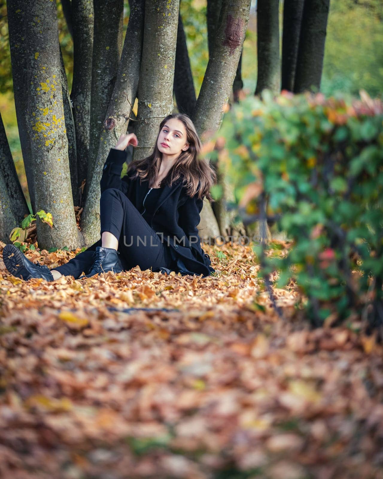 A beautiful girl sits by a tree on fallen leaves in an autumn park