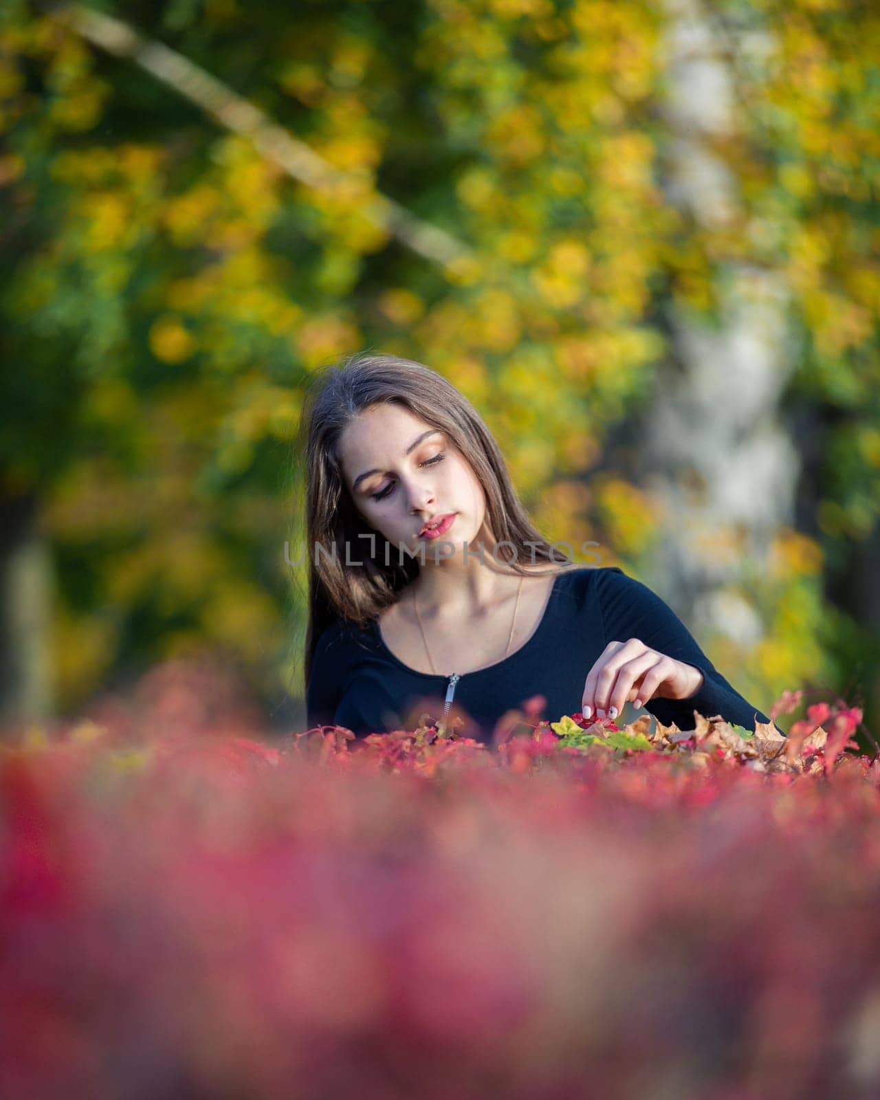 Portrait of a beautiful girl near a red-yellow bush in an autumn park. by Yurich32
