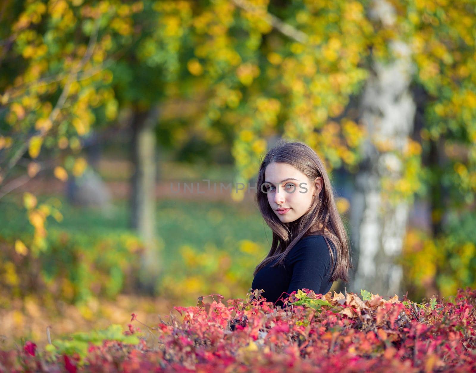 Portrait of a beautiful girl near a red-yellow bush in an autumn park