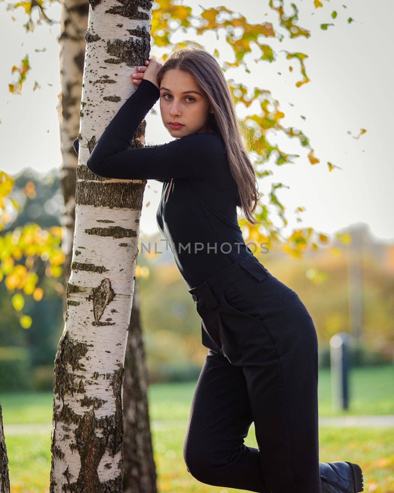 A beautiful girl posing near a birch tree in an autumn park