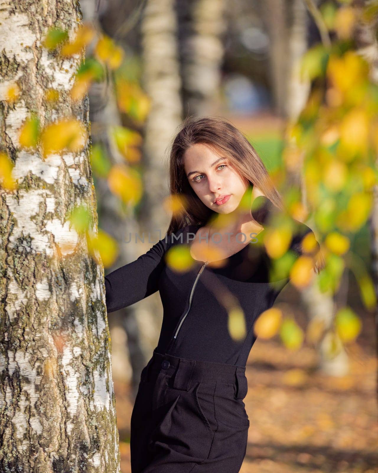 A beautiful girl posing near a birch tree in an autumn park. by Yurich32