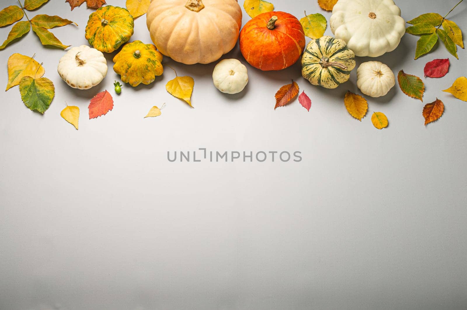 Thanksgiving or fall festive composition with different assorted pumpkins and autumn yellow leaves on light gray background top view. Copy space..