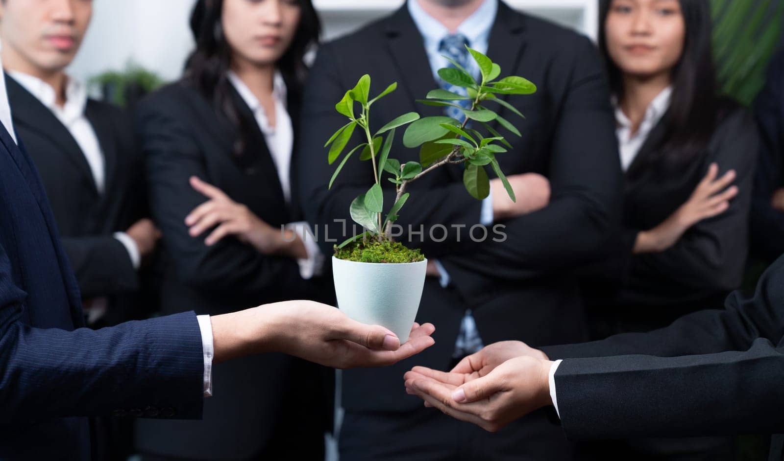 Eco-friendly investment on reforestation by group of business people holding plant together in office promoting CO2 reduction and natural preservation to save Earth with sustainable future. Quaint