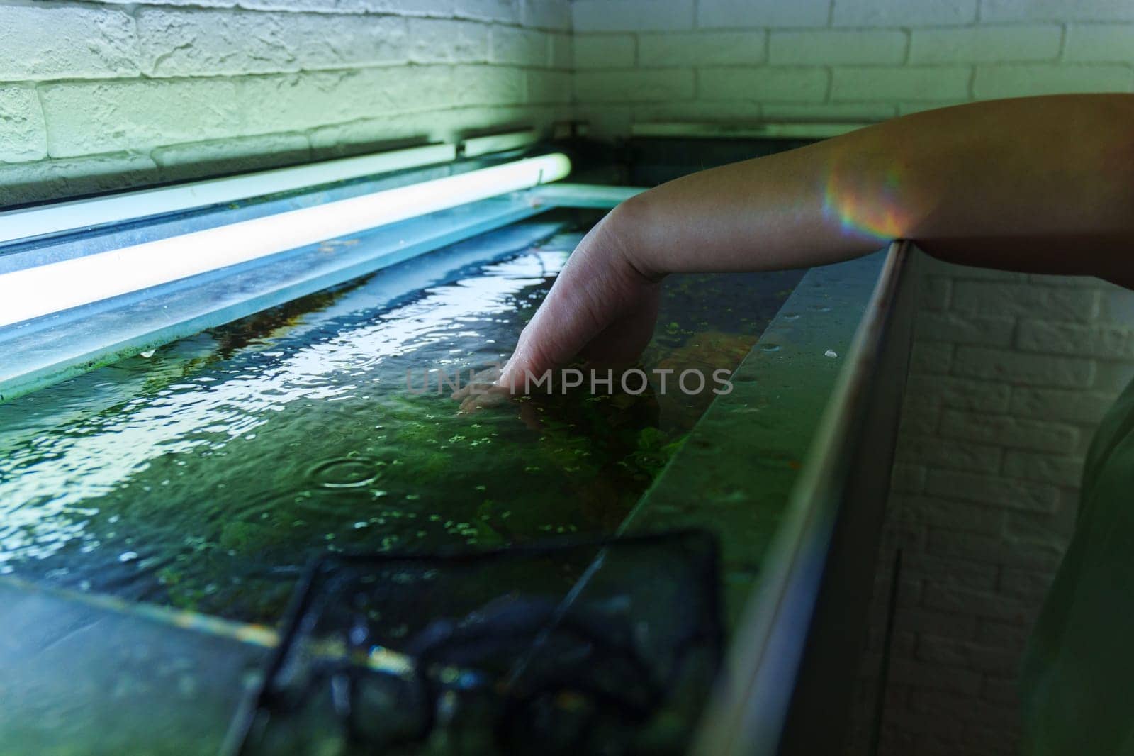 A person gently touches the surface of a vibrant aquarium, exploring the aquatic life beneath the shimmering waters in a serene setting