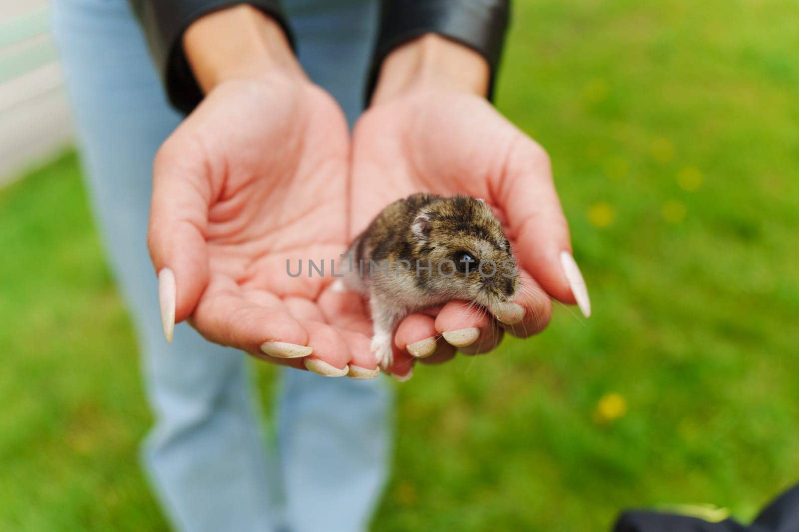 A curious little hamsters rests gently in a child's hand, enjoying a sunny day at the park surrounded by lush green grass
