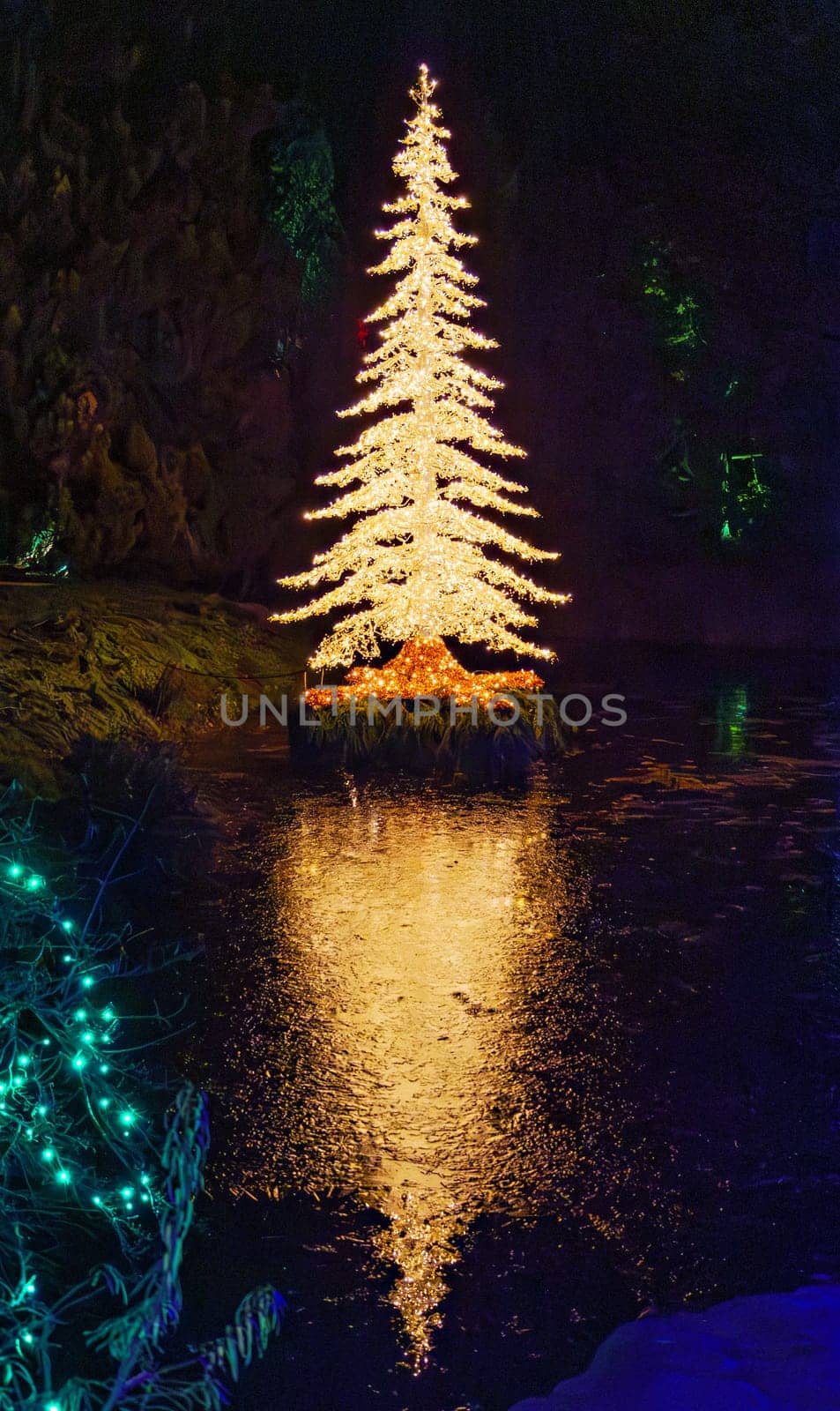 Big pinetree decorated with lights for Christmas celebration.