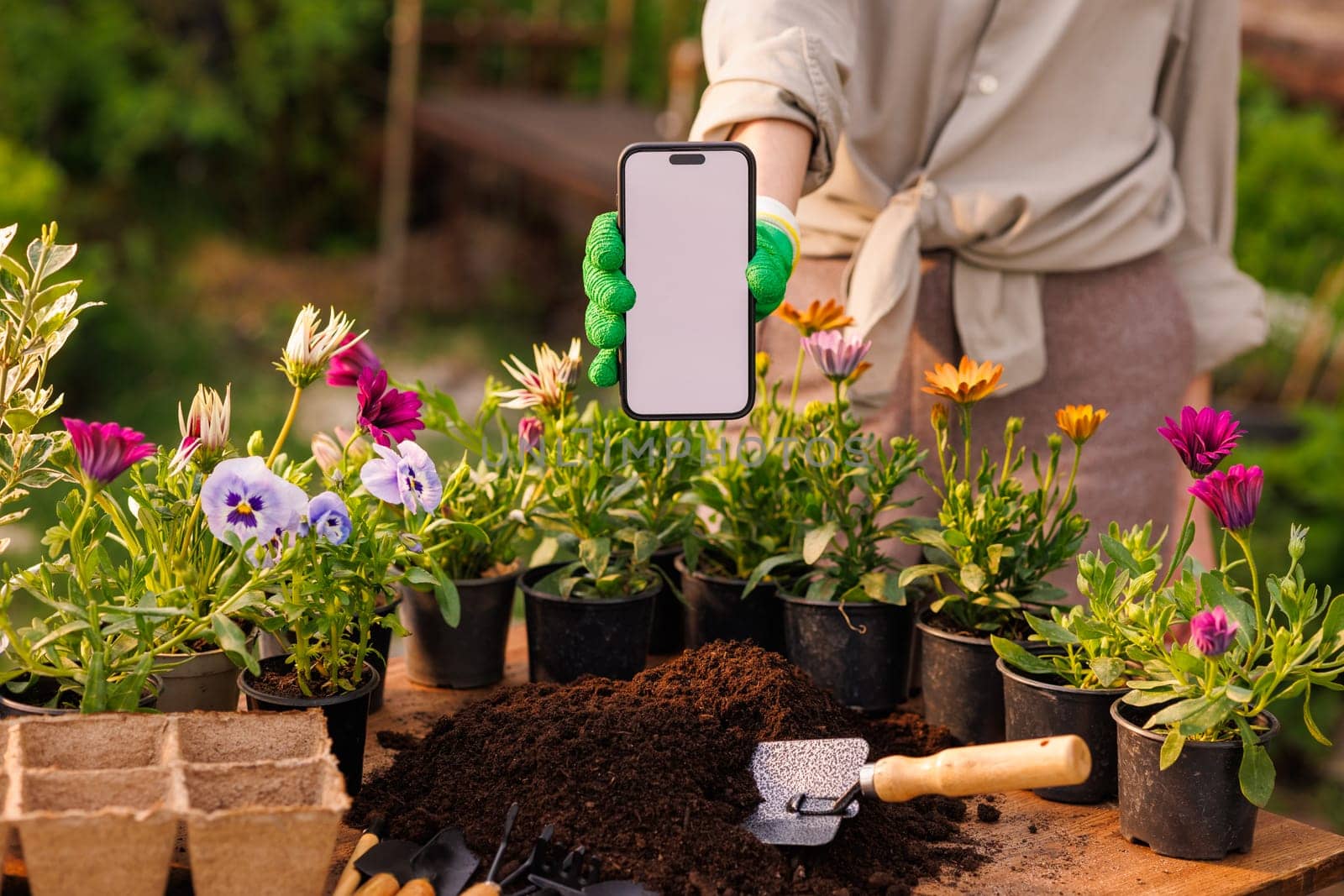 gardener using mobile app in phone for proper planting of flower plants in garden close up, modern gardening concept