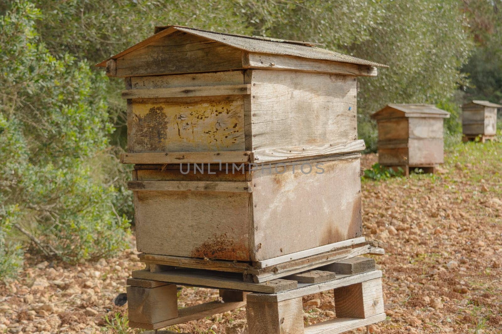Close-up of a weathered wooden beehive in a grassy field, bee hive in the countryside, beekeeping, nature concept in mallorca, spain balearic islands,