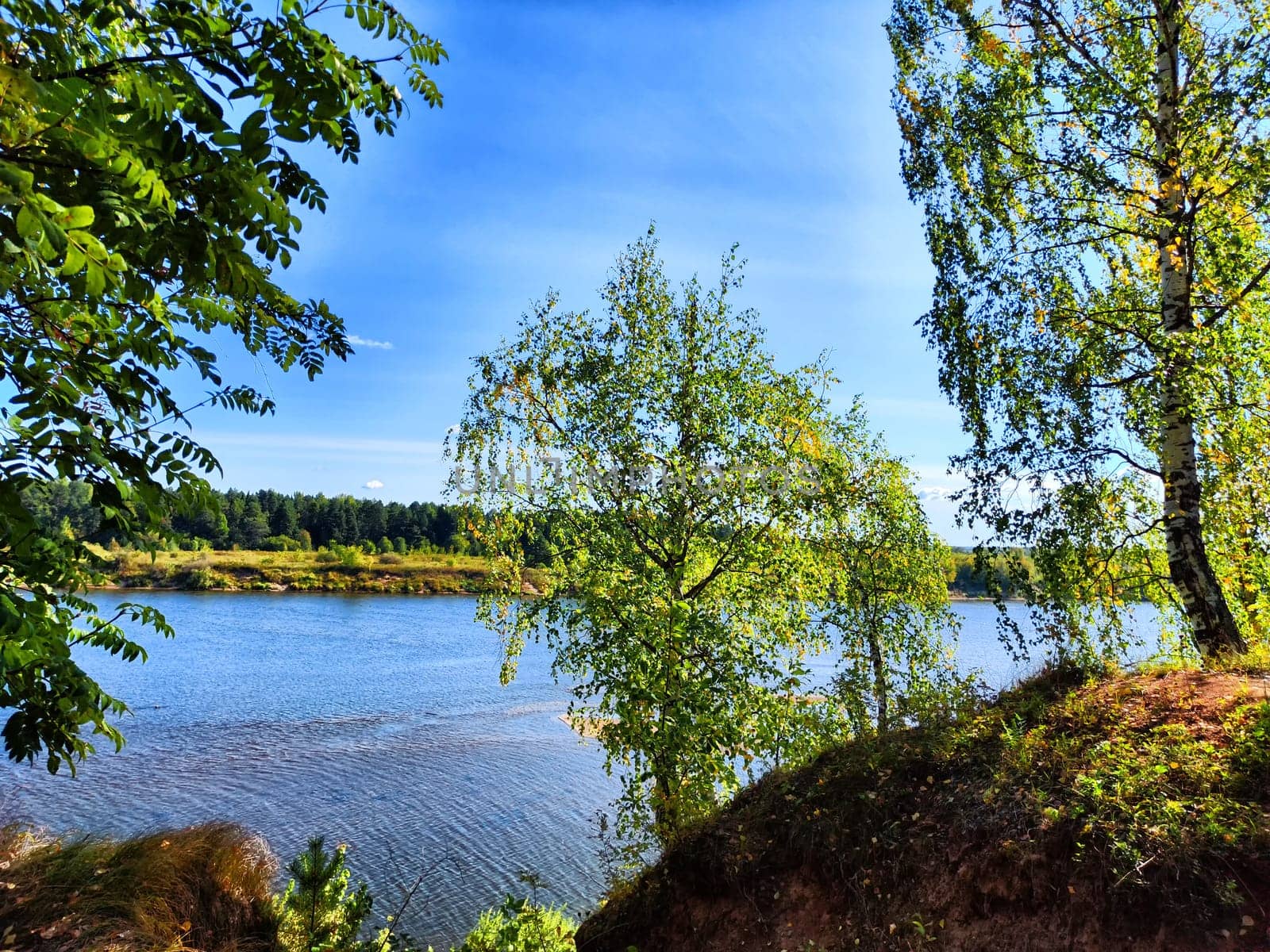 The picturesque river flows gently, surrounded by lush greenery and bathed in sunlight, evoking a peaceful spring atmosphere.