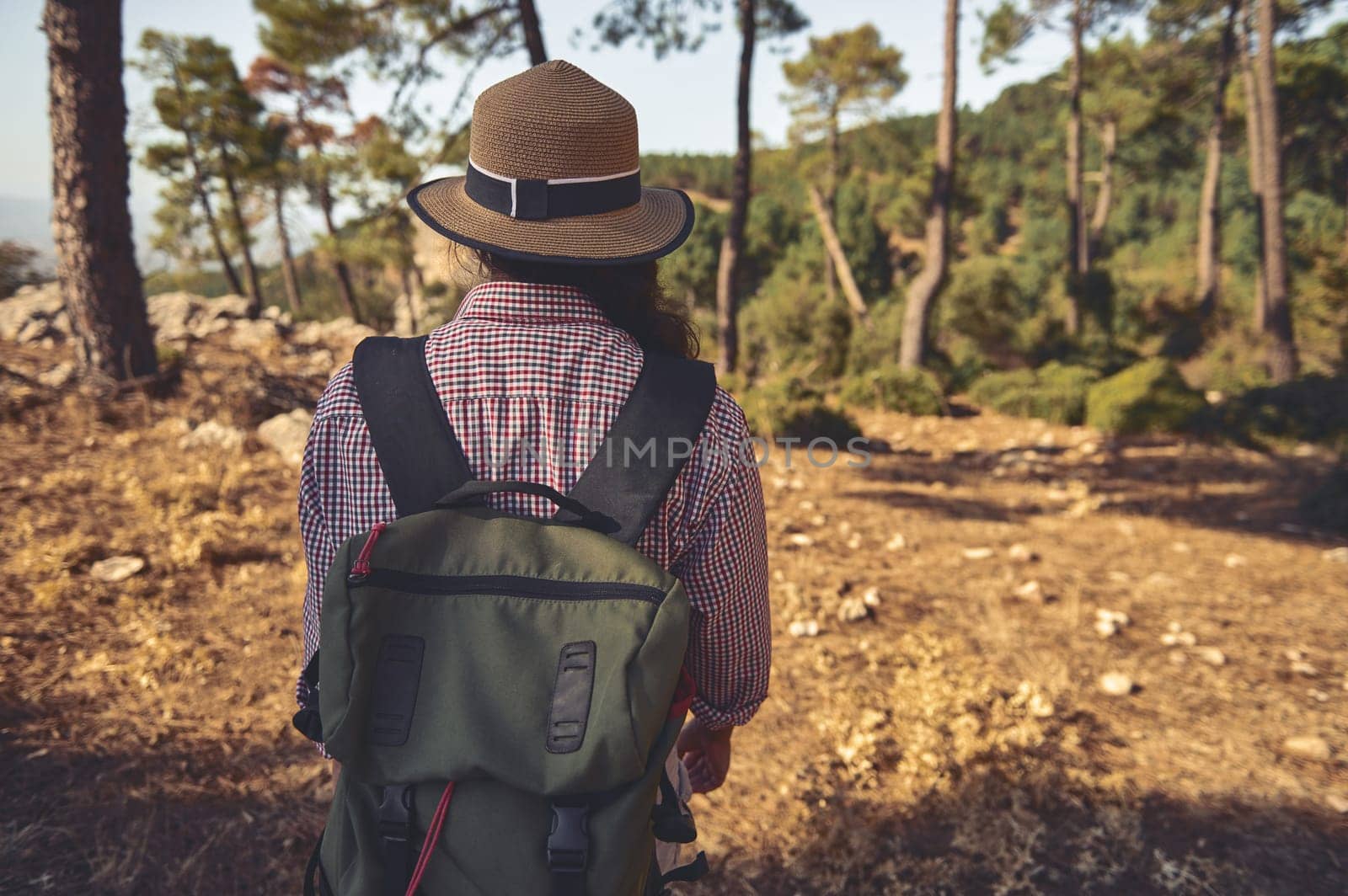 A hiker enjoying a serene walk through a forest trail, wearing a straw hat and backpack. Surrounded by lush green trees, the scene evokes a sense of adventure and exploration.
