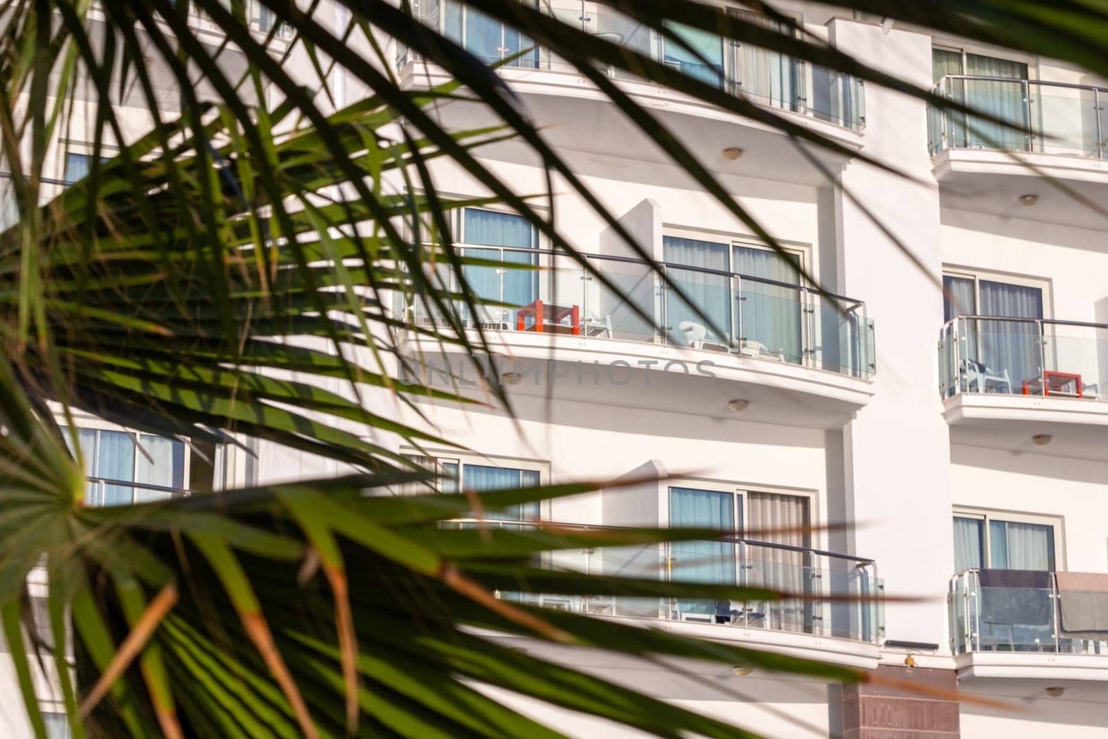 A green palm branch in the foreground contrasts with the white balconies of a hotel in the background, creating a serene tropical vibe on a sunny day