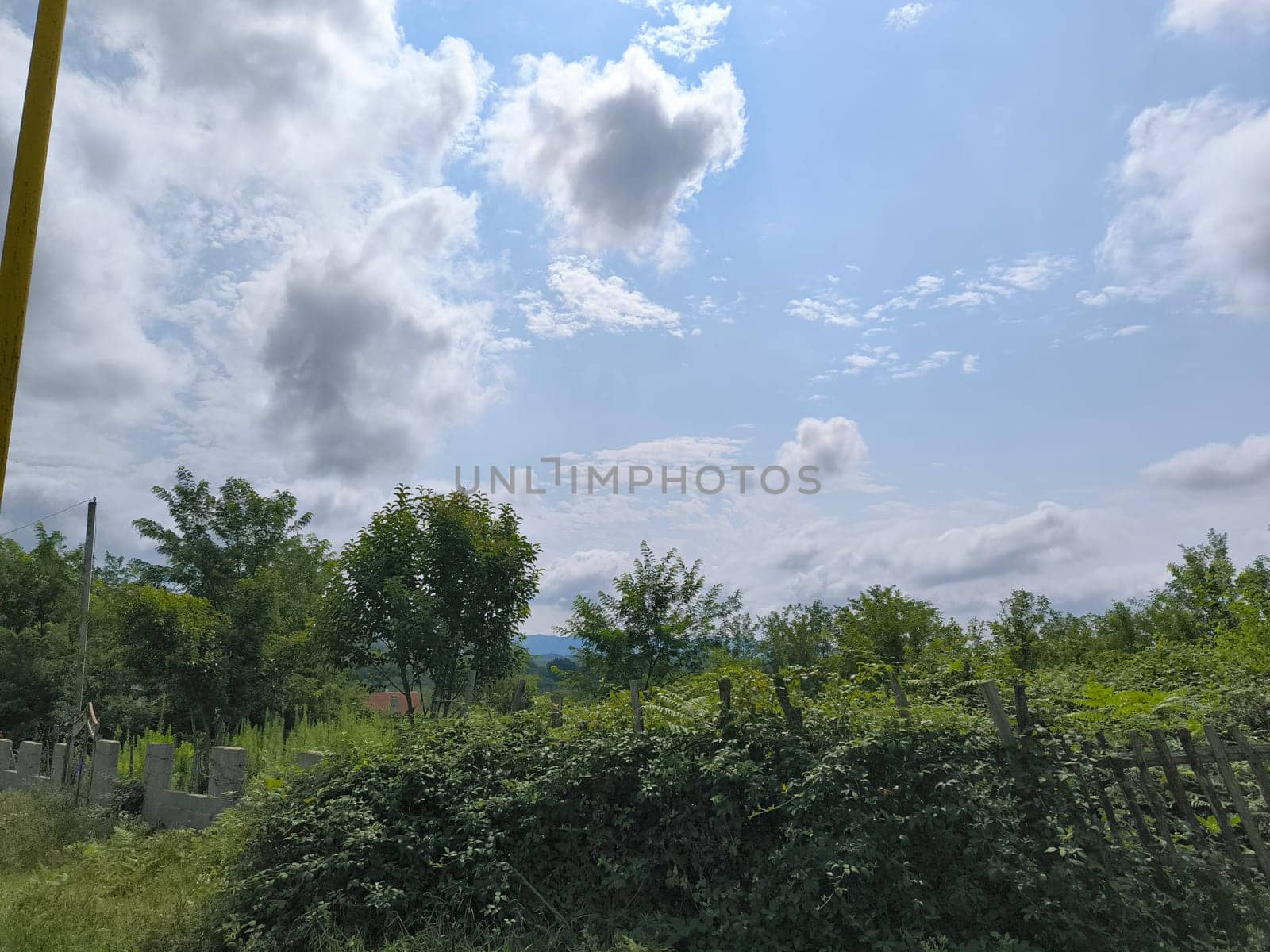 summer landscape green grass, blue sky white clouds nature weather atmosphere place Georgia. High quality photo