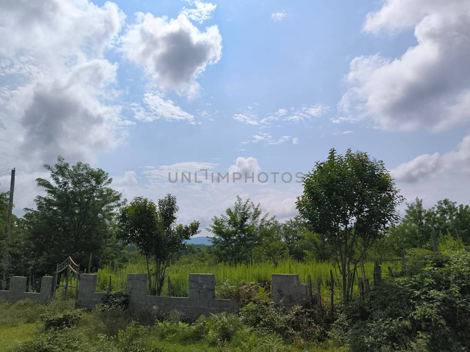 summer landscape green grass, blue sky white clouds nature weather atmosphere place Georgia. High quality photo