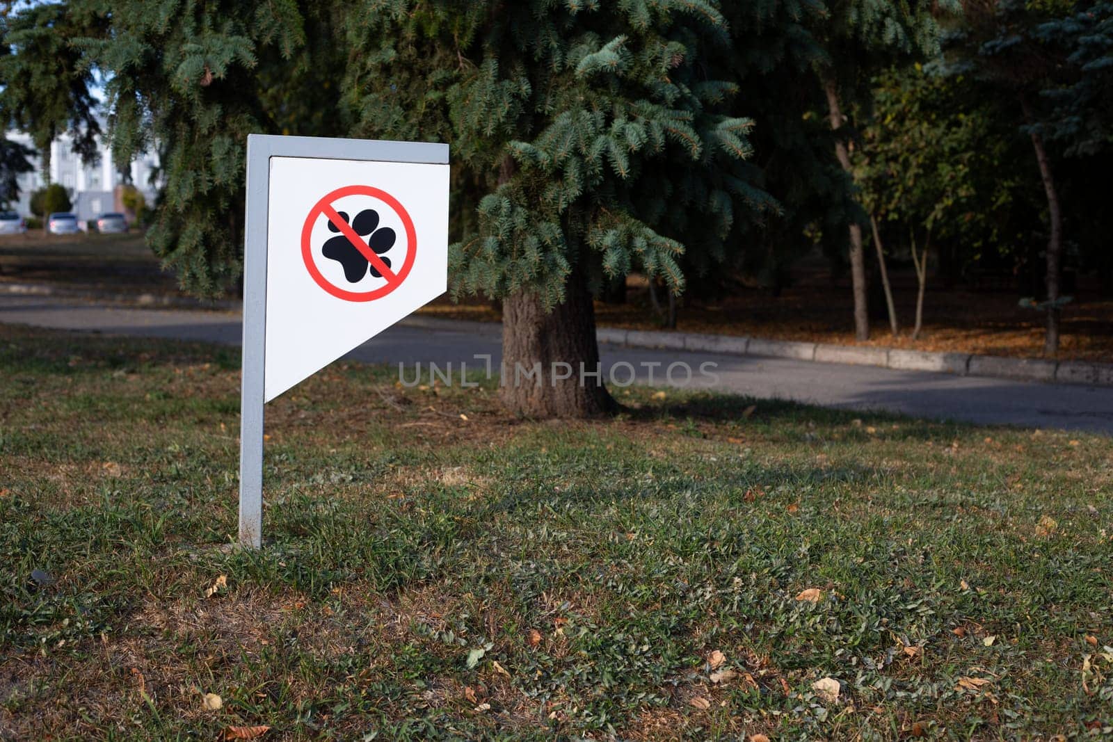 Sign on park lawn prohibiting walking dogs, ban on walking dogs in public place, taking care of cleanliness of pet feces on street, rules for pet owners for walking dogs in city park