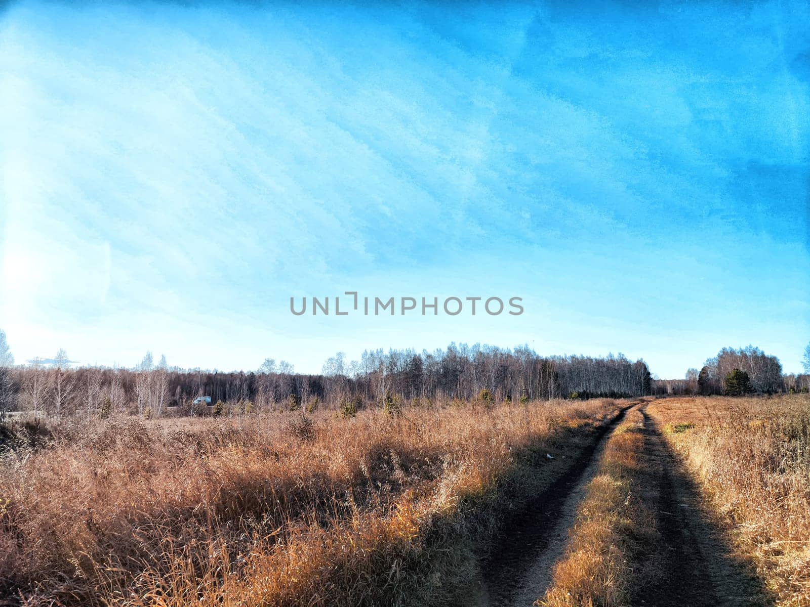 The tranquil dirt path meanders through golden grasslands, surrounded by trees under a vibrant blue sky.