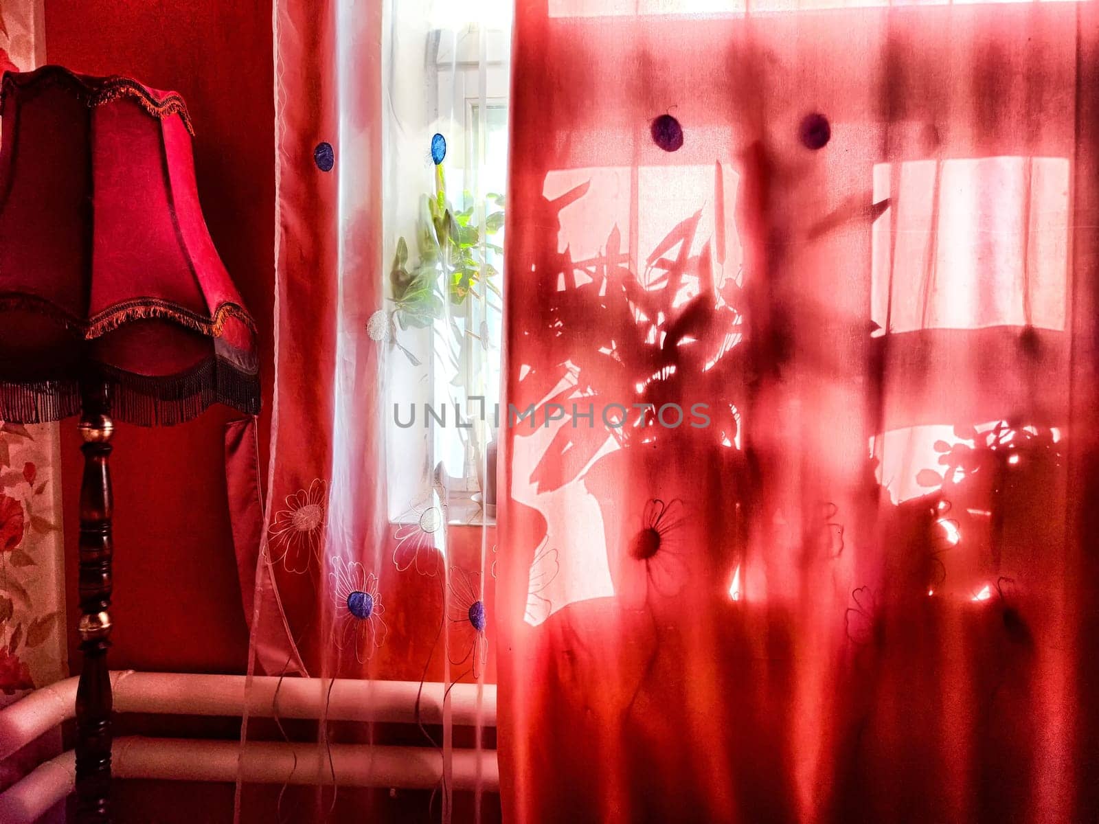 Soft light filters through red curtains, casting shadows of plants and illuminating a warm, inviting room.