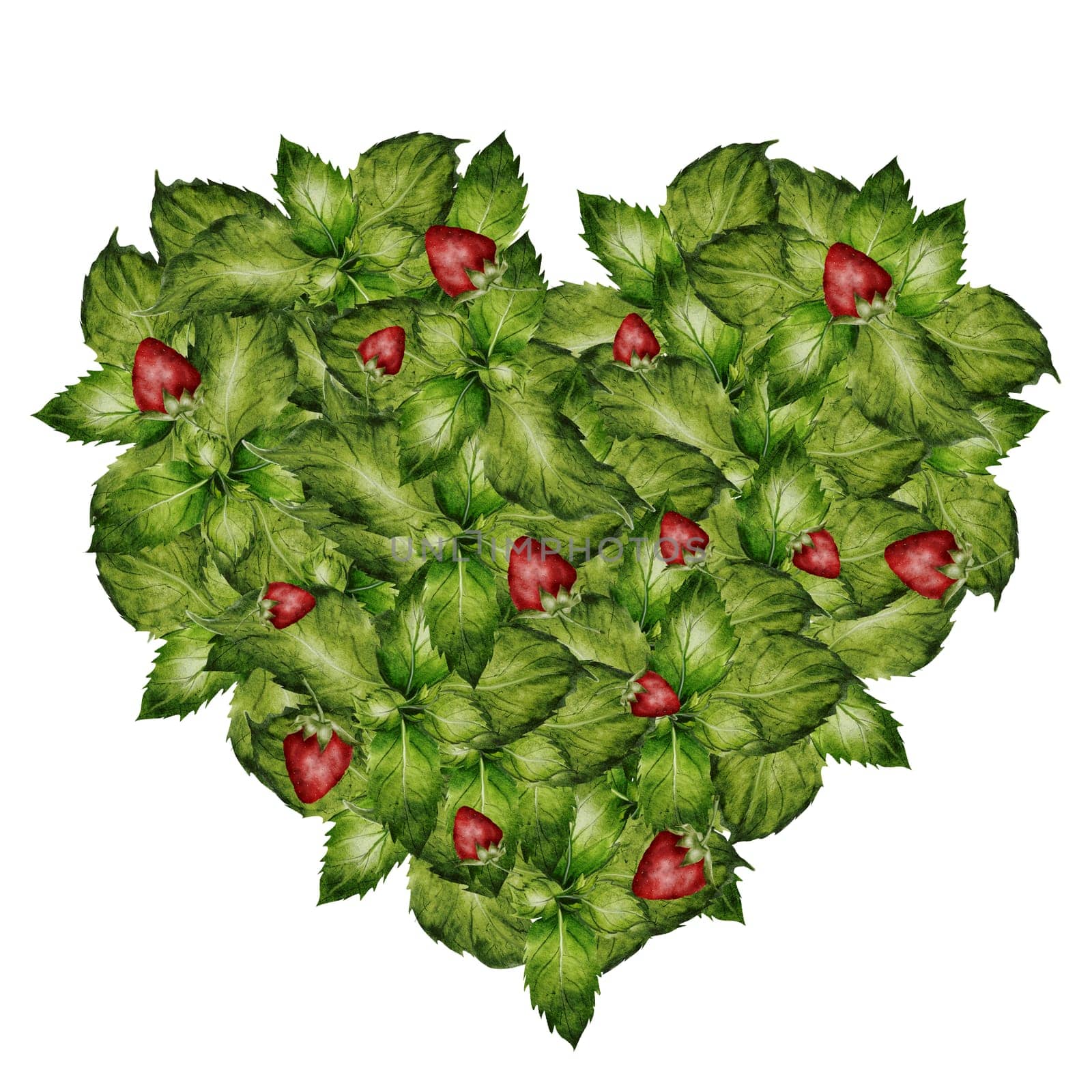 Green Heart watercolor. Herbal heart with strawberries. Hand drawn shape with mint leaves on isolated white background. Ideal for herbal tea and other drinks logo and natural cosmetics. High quality illustration