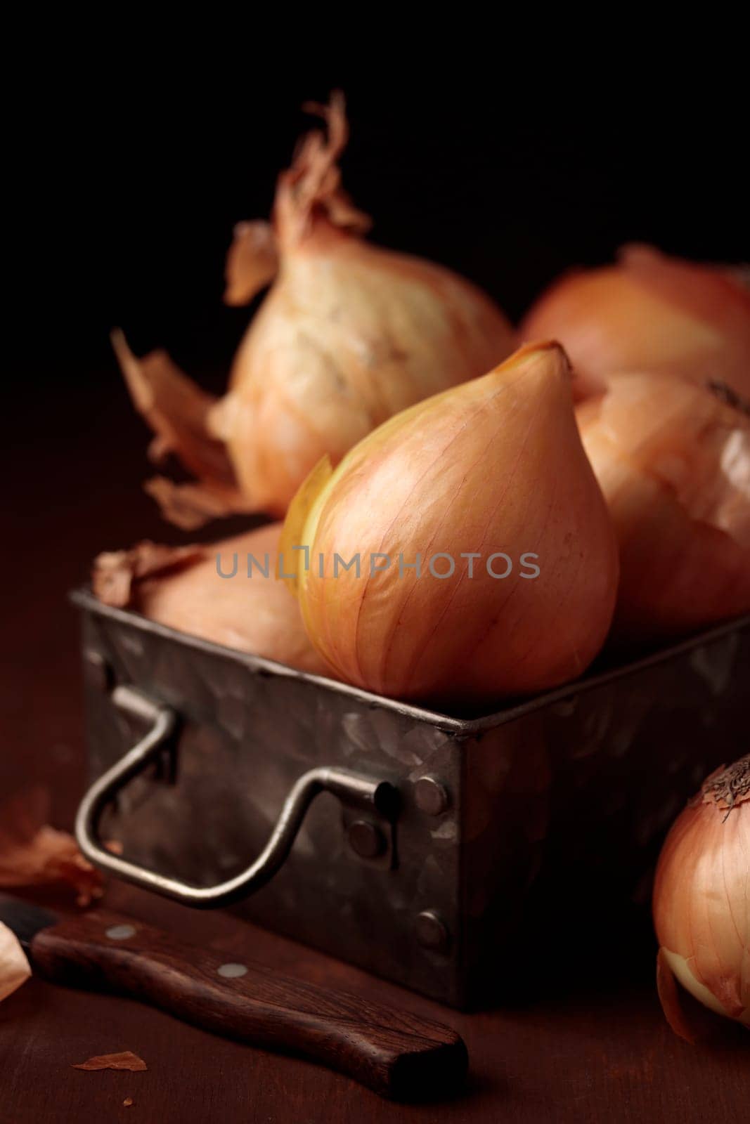 Fresh harvest yellow onion bulbs with peel in a vintage metal box on a table on a dark background, organic product for healthy food, ingredient for home cooking dishes, vertical close-up banner with a copy space